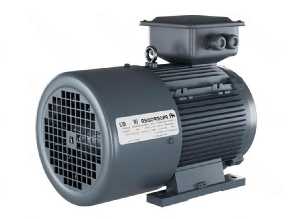 Электродвигатель 1LE9003-2DA23-3AA4 PROMPOWER